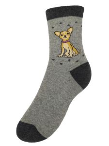 Chihuahua - ni bokazokni