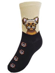  Yorkie arckp sznes mancsokkal