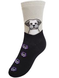  Bichon arckp sznes mancsokkal