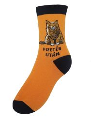  Fizets UTN